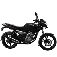 Bajaj Pulsar 135 Different Colour View 1