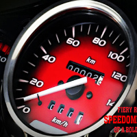 Hero Honda Hunk Speedometer View