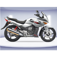 Hero Honda Karizma R Different Colour View 3