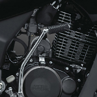 Hero Honda Karizma R engine view Picture