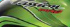 Hero Honda Passion PRO different colour palette view Picture