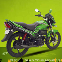 Hero Honda Passion PRO Rear Cross Side View