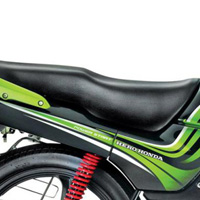Hero Honda Passion PRO Seet View