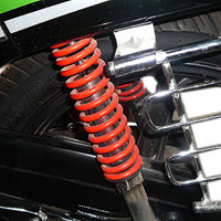 Hero Honda Passion PRO Shocker View