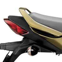 Honda CB Dazzler Back Light View