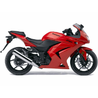 Kawasaki Ninja 250R Different Colour View 1