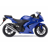 Kawasaki Ninja 250R Different Colour View 2