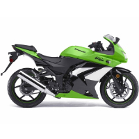 Kawasaki Ninja 250R Different Colour View 3