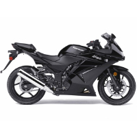 Kawasaki Ninja 250R Different Colour View 4