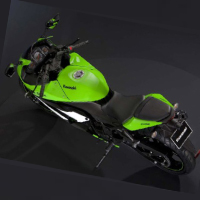 Kawasaki Ninja 250R Rear Cross Side View