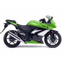 Kawasaki Ninja 250R Right View