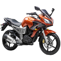 Yamaha Fazer  Different Colour View 4