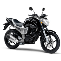 Yamaha FZ16 Different Colour View 1