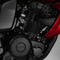 Yamaha FZ16 Engine View